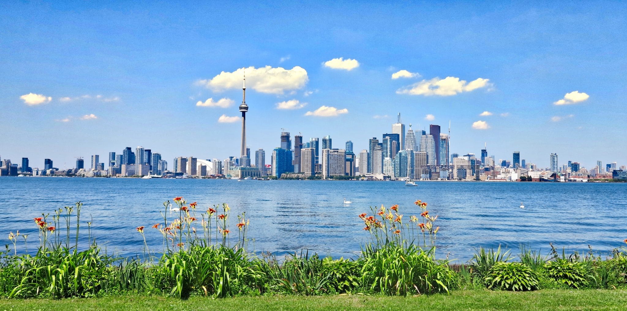 Cities ? Far Away from Nature?